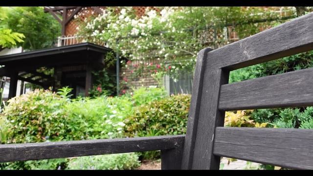 【vlog120】?夢見るバラと、秘密の花園へようこそ?庭は熟成する・清里「野わけ」/人生物語「八ヶ岳への移住～心に決めたとき、物事は動き出した」/猫たち?/一人暮らし/60代/八ヶ岳南麓/田舎暮ら смотреть онлайн