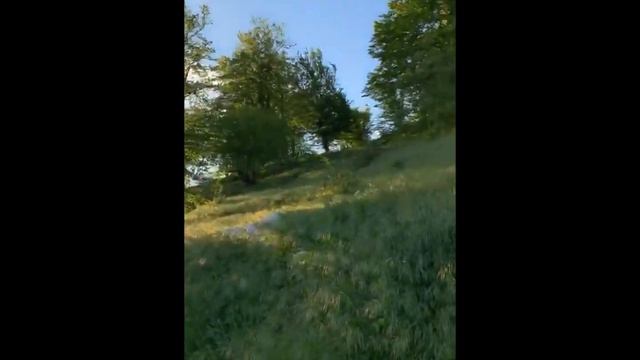 Абхазия. Релаксация смотреть онлайн