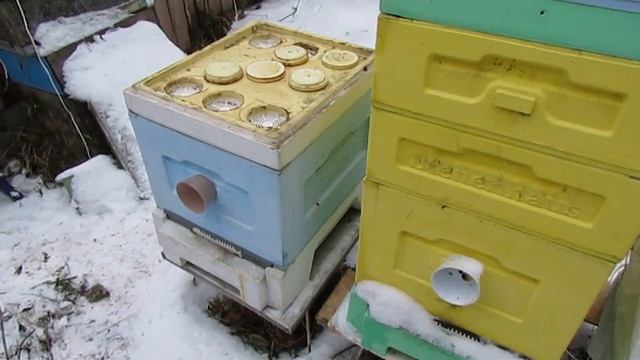 зачем убирать улей ППУ на зиму в зимовник, если улей теплый и можно зимовать пчелам на воле.mp4