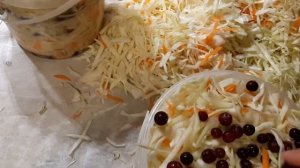 Капуста с клюквой. Готовим соления на зиму.