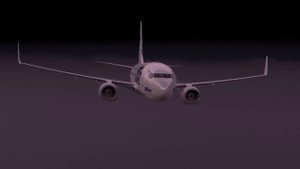 Авария Boeing 737 в Сочи. Опасное решение экипажа