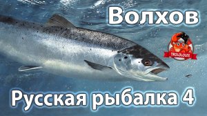 Русская рыбалка 4 РР4 Волхов