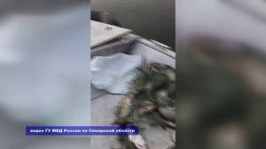 В Самарской области с 20 апреля запретили рыбачить