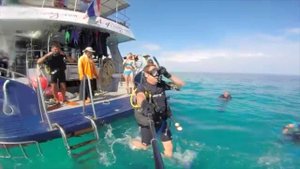 Пхукет 2014 Дайвинг