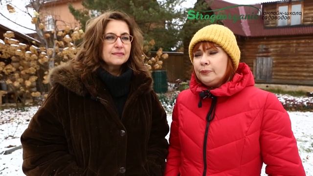 А вы любите свой сад зимой? #strogoorganic #органическоеземледелие #строгоорганик