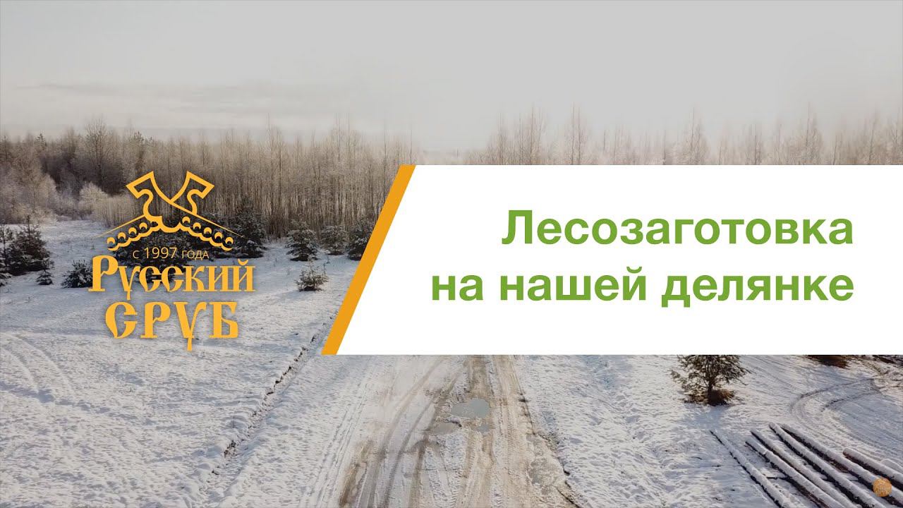 Лесозаготовка для строительства сруба дома или бани смотреть онлайн