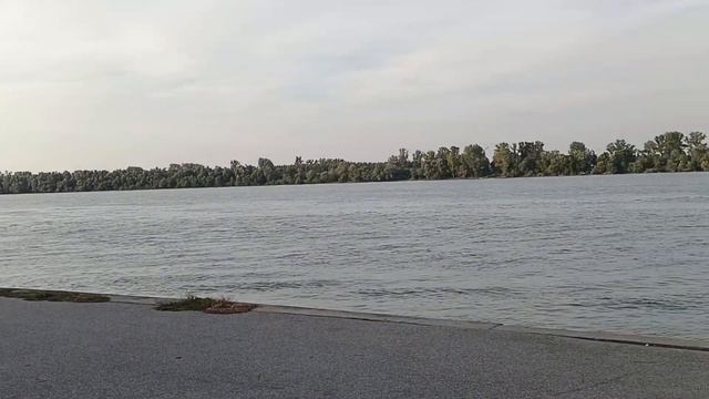 Жизнь в Сербии. Многое зависит от людей. 27 сентября 2023 г. смотреть онлайн