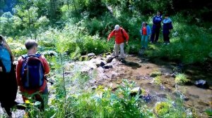 Кузбасс. Кия   Берчикуль 2016