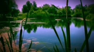 Прогулка по Парку. Озёра - Walk in the Park. Lakes - Relax Music Video