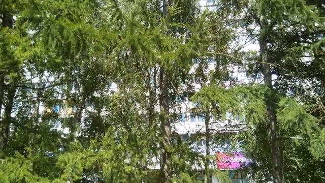 Зеленоград 6 мкрн и Парк Победы
