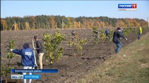 ГТРК Белгорода - Аллея в память о Василии Горине заложена в Бессоновке