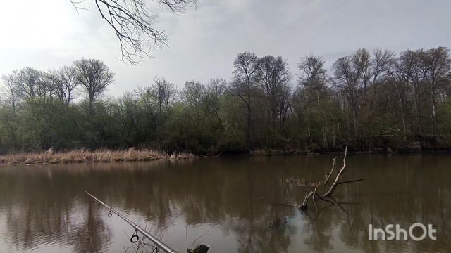 141-Диалоги о Мишане (Старые сети) 22.04.2023 смотреть онлайн