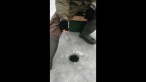 Зимняя рыбалка 02.01.2022г. в Донецкой обл. Мироновское водхр. Ловля плотвы.