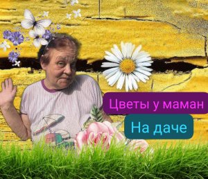 Цветы на у Маман на даче