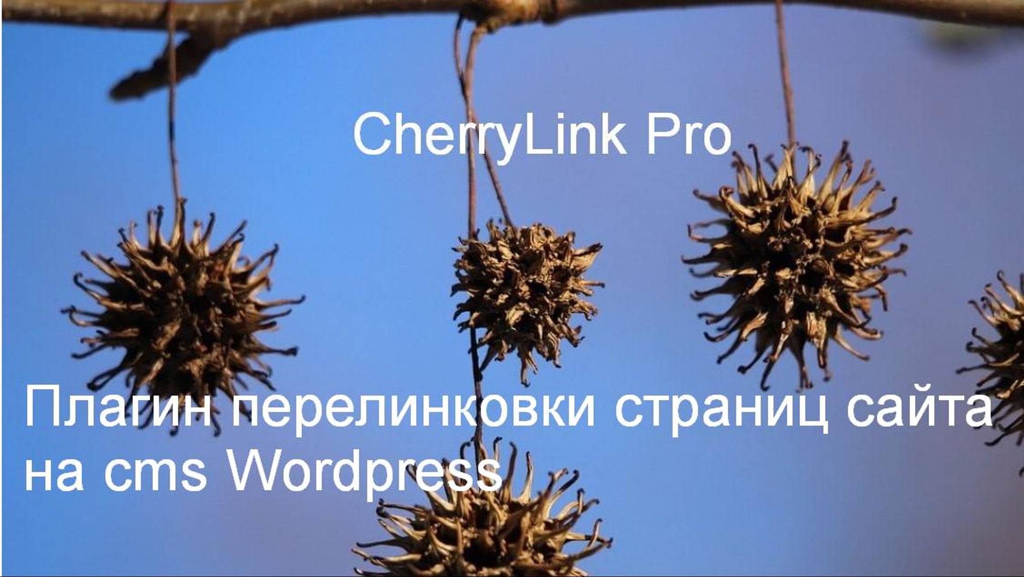 Перелинковка страниц сайта в редакторе Wordpress.