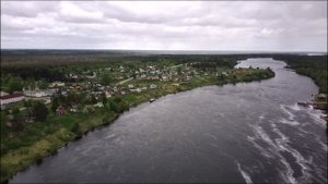 Сосновец 29 мая 2021