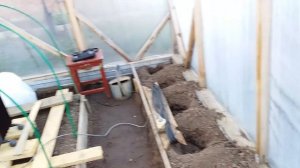 Рассада БЕЗ ОБОГРЕВА в ПЛЕНОЧНОЙ теплице во время заморозка в минус 2 градуса