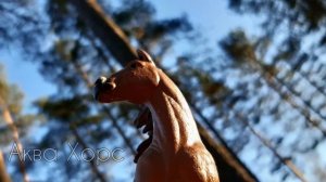 Фото лошадей шляйх 2020 #9 /лошади шляйх/Schleich