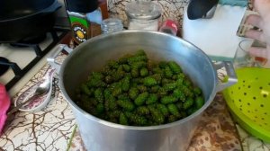 Секрет густого варенья из сосновых шишек!