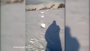 ЖУТКОЕ СУЩЕСТВО НА ДОРОГЕ! СТРАШНЫЕ И МИСТИЧЕСКИЕ СУЩЕСТВА ЛЕСА СНЯТЫЕ НА КАМЕРУ