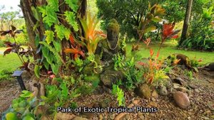 Venezuela_Венесуэла.Путешествие и отдых.