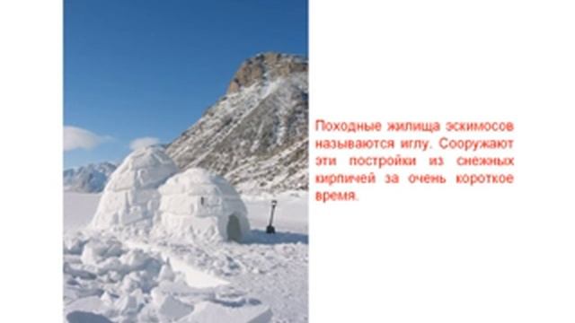 Арктика и Антарктида  (детские обучалки)