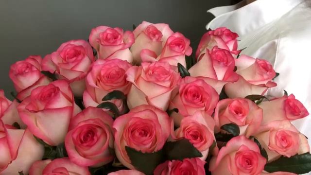 Роза "Джумилия" смотреть онлайн