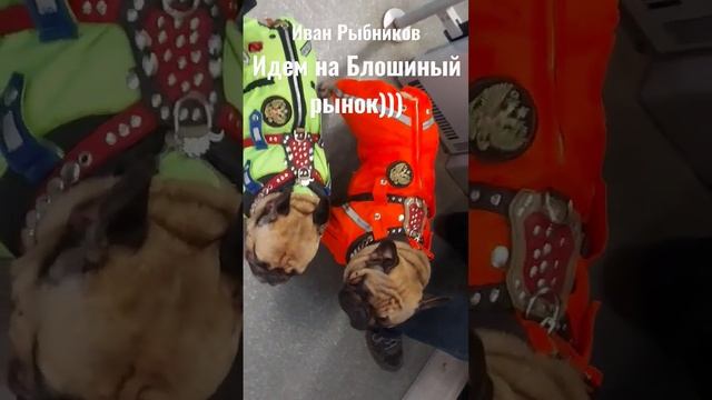 Блошиный рынок & Иван Рыбников