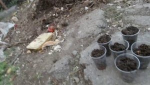 Сколько можно заработать на червях?! Черви для рыбалки как бизнес.