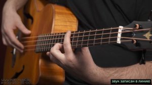 Электроакустический бас ARIA FEB F2M