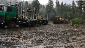 Погрузка лесовоза МАЗ 6х6