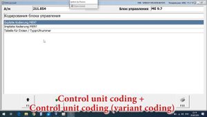Gas Pedal Response Coding for Mercedes on Xentry (DAS) / Encoding QUICKER Throttle Response Mercede