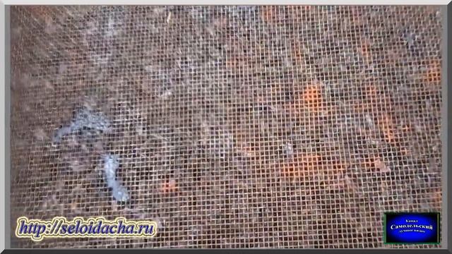 Работа на пасеке зимой: подкормка пчел канди (видеоотчет). Зимняя подкормка пчелосемьи смотреть онлайн