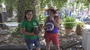 2 Hoes Gardening at Rainbow Gardens