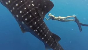 #gopro реклама поражающая своей красатой Это надо видеть