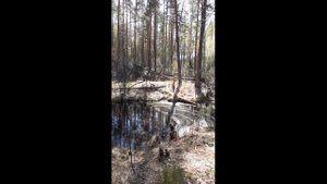 Размотка жерлицы на глазах. Озеро Тоньки. Нижний тек. Рыбалка!