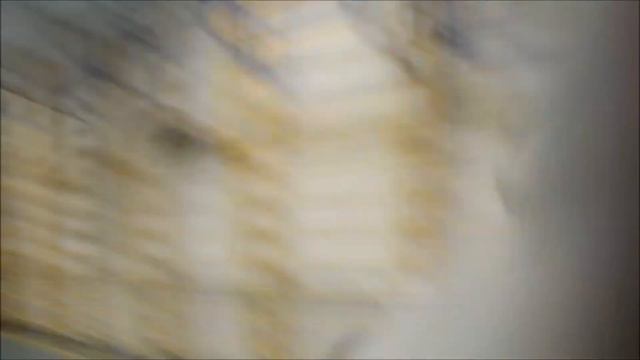 BOG-5(Ответ Игорьку))!! смотреть онлайн