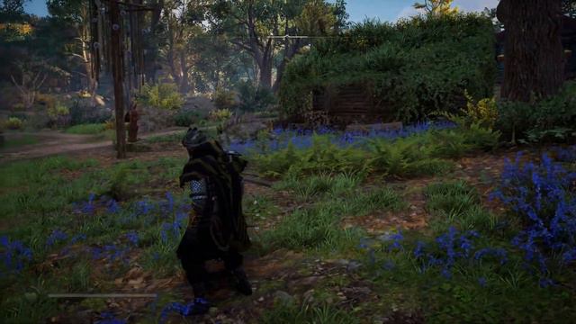 Assassin's Creed Valhalla Новые доспехи Веланда
