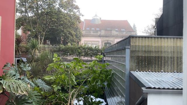 Which? Zoom H5 vs Zoom H8  Zoom Recorder Comparison