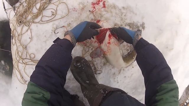 БОМБИЧЕСКАЯ РЫБАЛКА. Трофей есть!!! Енисей батюшка щедр, (МАРТ 2021) смотреть онлайн