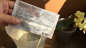 чтобы у ОРХИДЕИ СОК НЕ СОСАЛИ, щитовка на орхидее - легко избавиться!