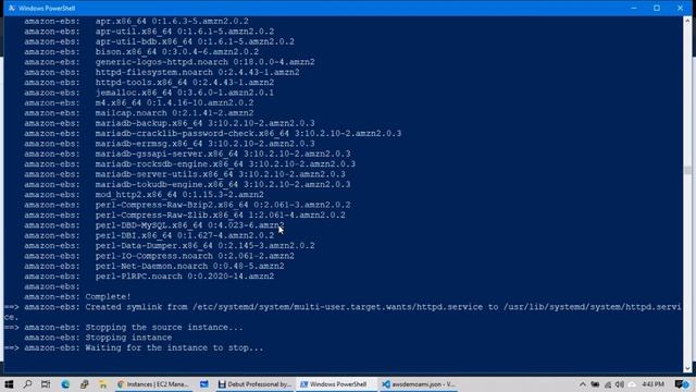 AWS Custom AMI's with Packer |  DevOps  Basics | DevOpsMadeEasy
