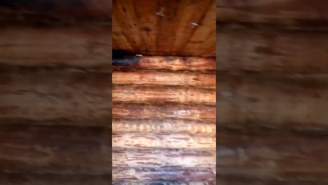 Сгорела баня помогите советом. смотреть онлайн