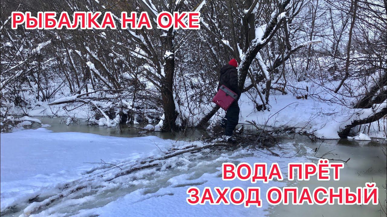 РЫБАЛКА на ОКЕ / ВОДА в СИЛЬНОМ Подъёме / Заходим на ЛЁД по Веткам смотреть онлайн