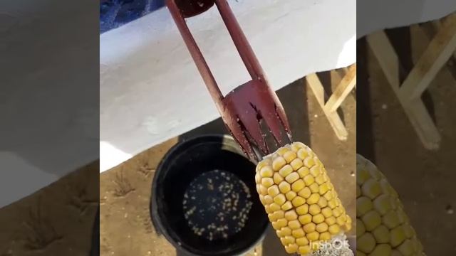 Самодельная кукурузная лущилка с двигателем от стиральной машины смотреть онлайн