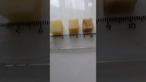 ОСМОС. Эксперимент с картофелем. ЕГЭ биология, вопрос №2.