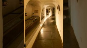 Канон молебный ко Пресвятой Богородице, поемый во всякой скорби душевной и обстоянии