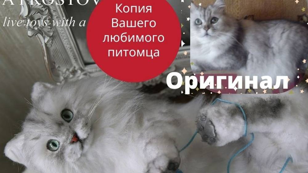 Кот Ричард - реалистичная  подвижная мягкая игрушка ( работа выполнена на заказ по фото кота) 2021 г