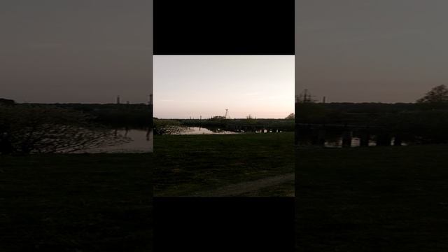 Прекрасный вечер