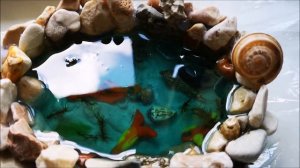 Декорация "Прудик" из эпоксидной смолы и камней.Epoxy resin A pond with fish.